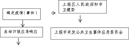 上報(bào)區(qū)人民政府和市衛(wèi)健委,確定疫情（事件）,上報(bào)市突發(fā)公共衛(wèi)生事件應(yīng)急委員會(huì),啟動(dòng)Ⅳ級(jí)應(yīng)急響應(yīng)